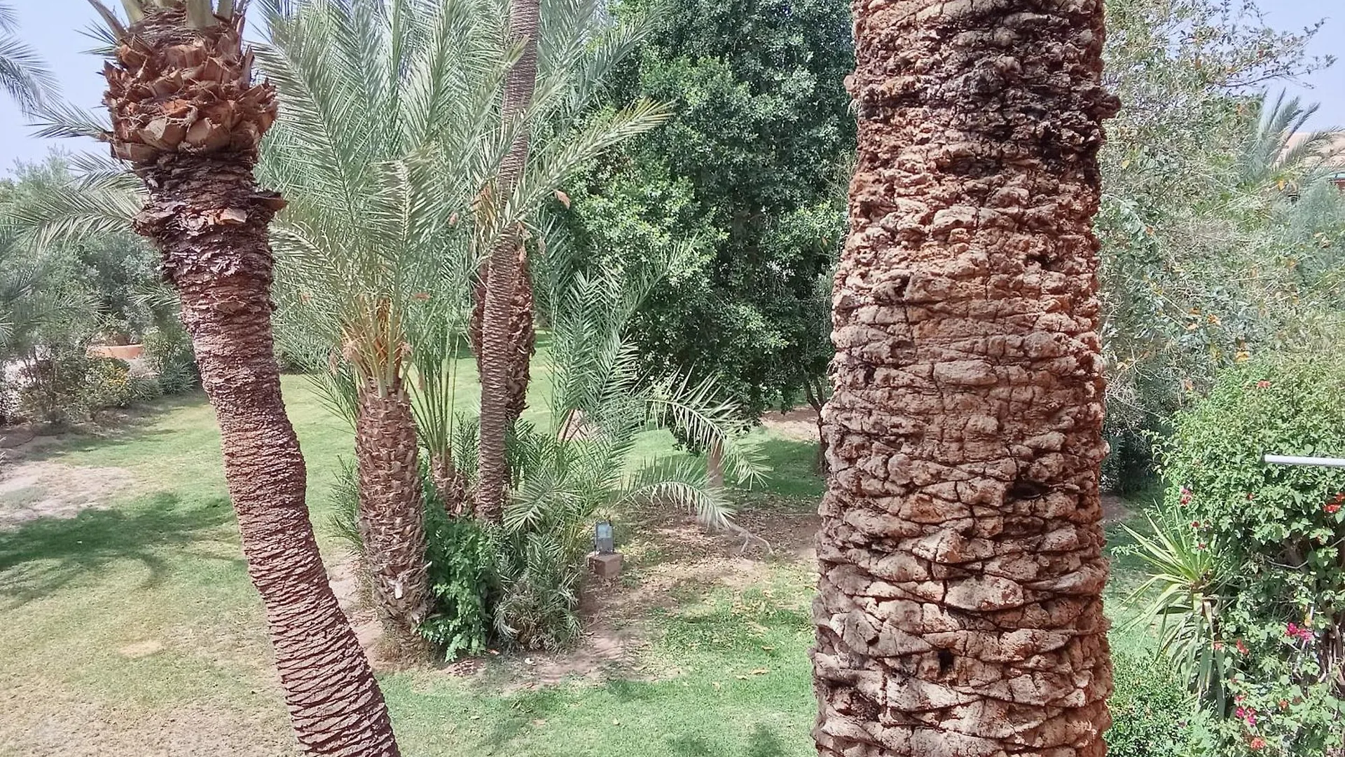Abirkech Appartement Marrakesh 0*,  Morocco